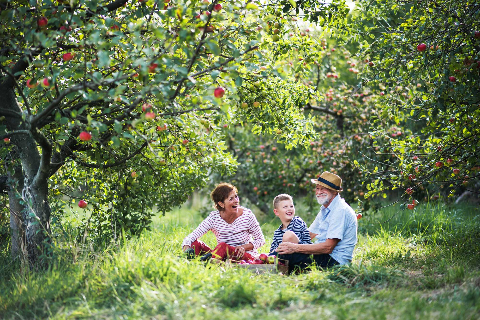 grandparents with grandson